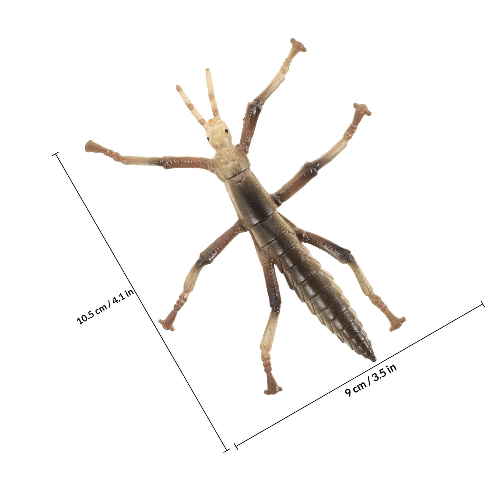 Sturdy Plastic Stick Insect fo - Kids Education Activities recension och pris